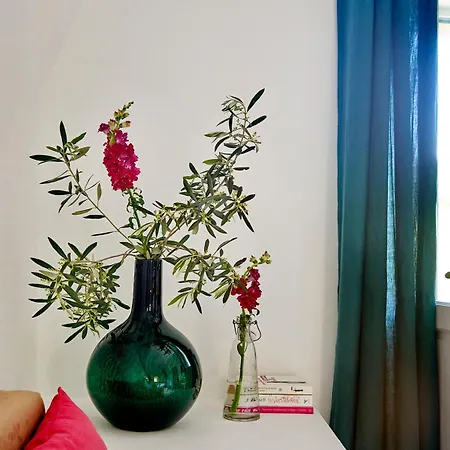 Mas La Buissonniere Πανσιόν 4*